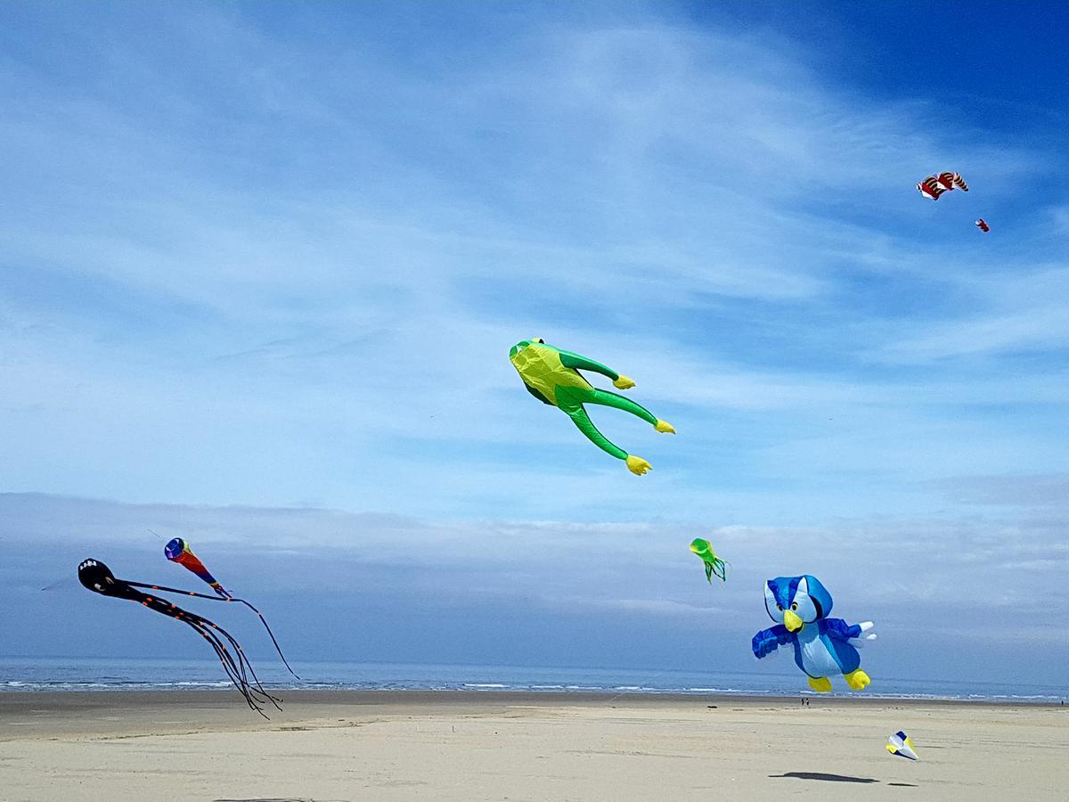 Les Coquillages, 2 Salles De Bains, Tout A Pied Berck Buitenkant foto