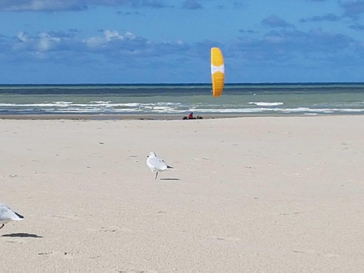 Les Coquillages, 2 Salles De Bains, Tout A Pied Berck Buitenkant foto