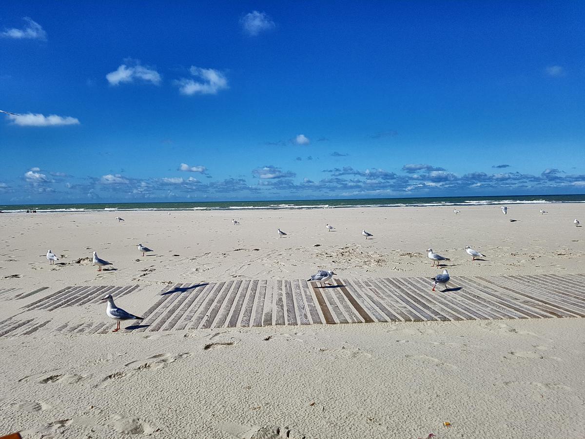 Les Coquillages, 2 Salles De Bains, Tout A Pied Berck Buitenkant foto